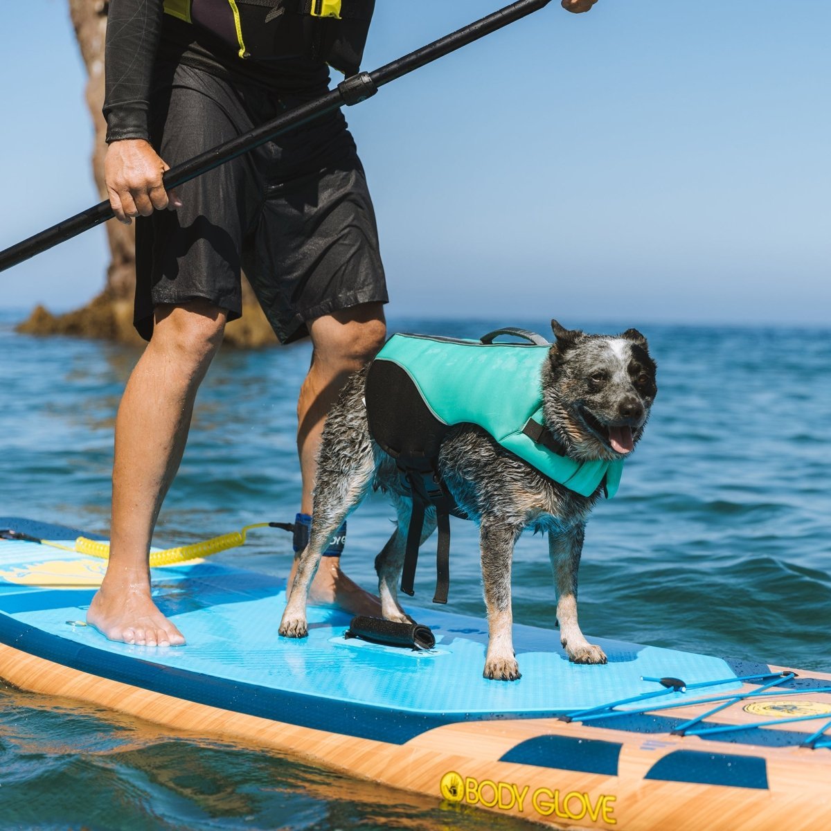 Body Glove Neoprene Life Jacket For Dogs