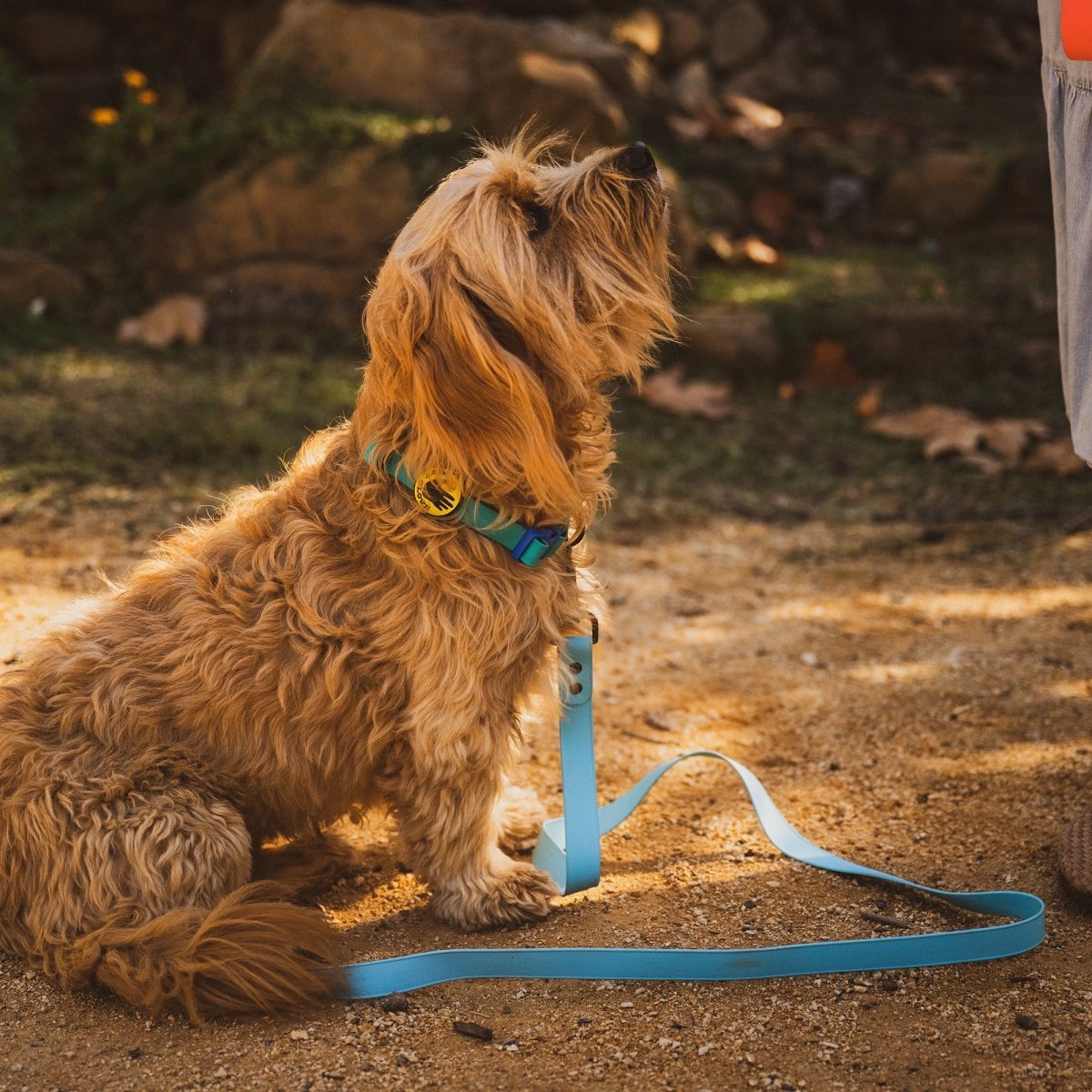 Body Glove waterproof leash 6 feet