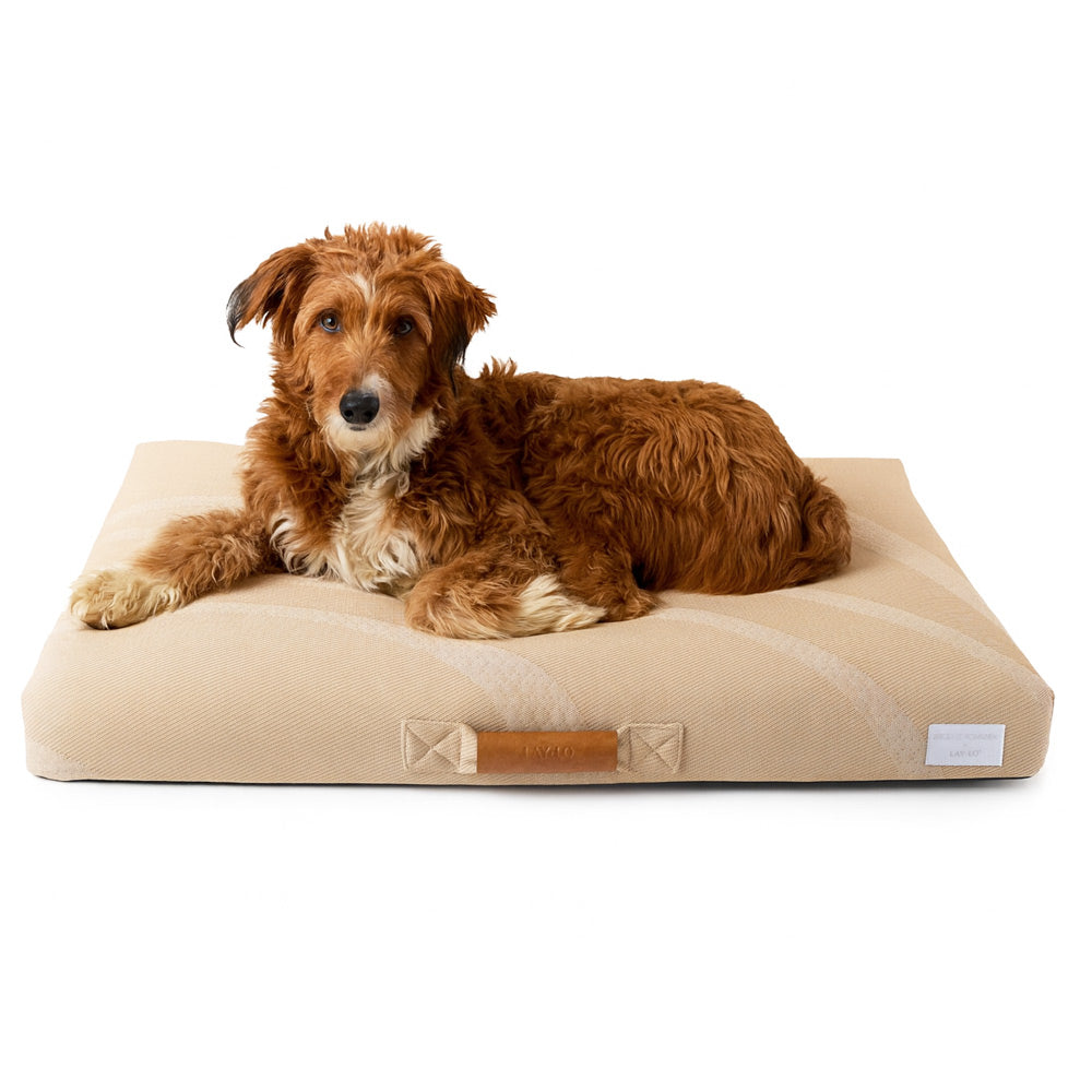 Brigette Romanek | Designer Dog Bed With Removable Luxury Cover - Taupe