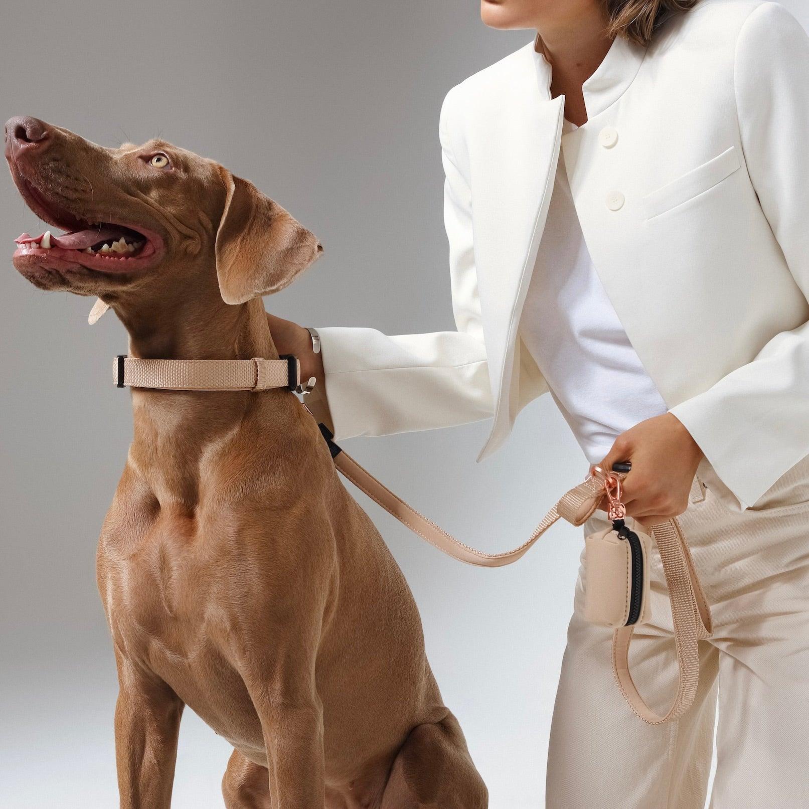 Hands-Free City Dog Leash - Dune