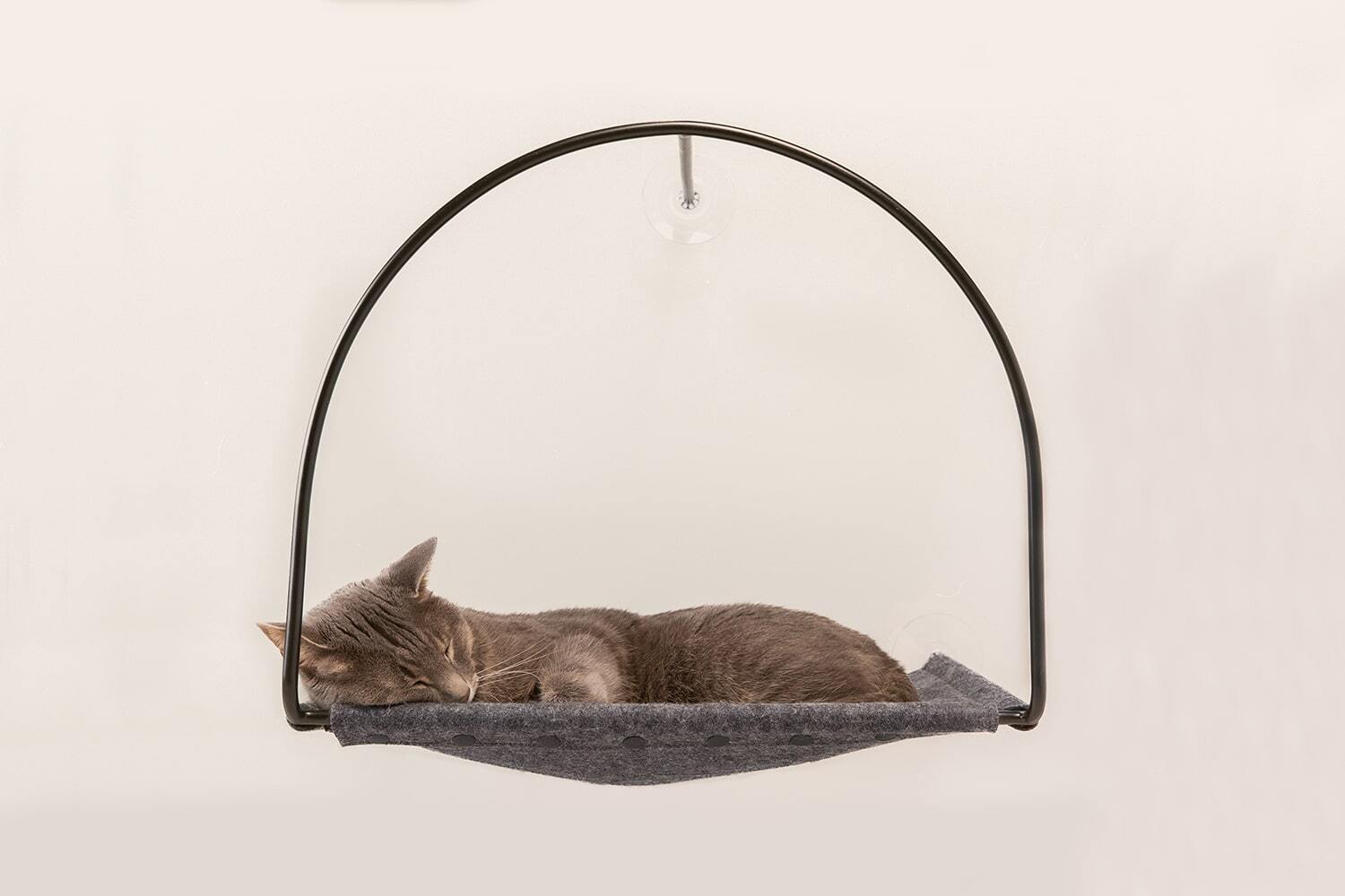 Window Hammock For Cats | Cloud Nine