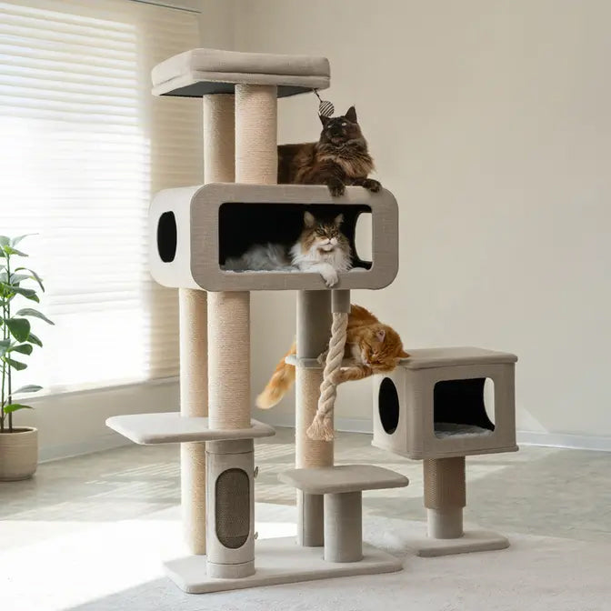 Extra Large Cat Tree For Multiple Cats Sturdy 71" High