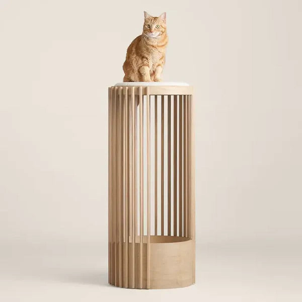 Modern Cat Tower & Bed