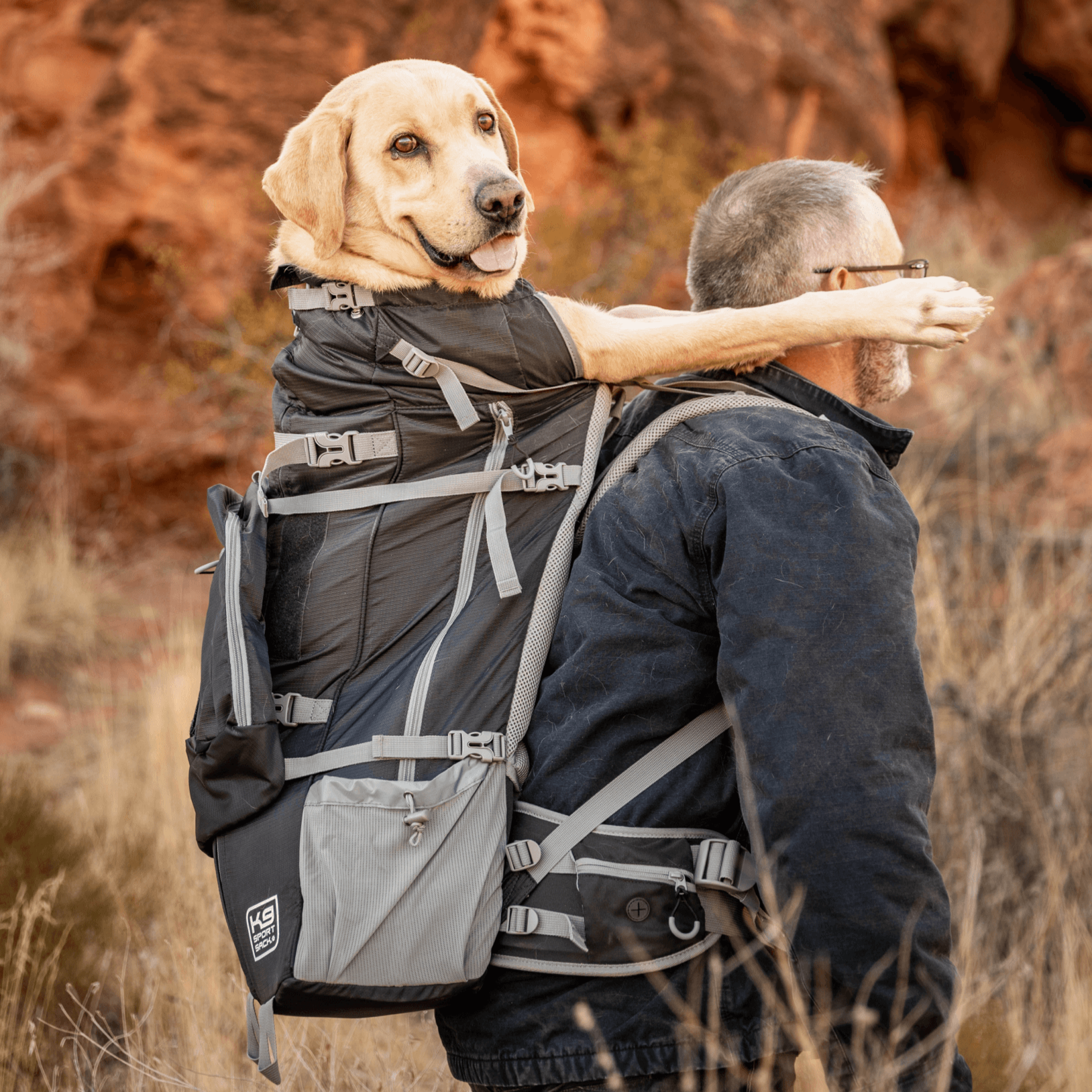 Kolossus | Big Dog Carrier & Backpacking Pack