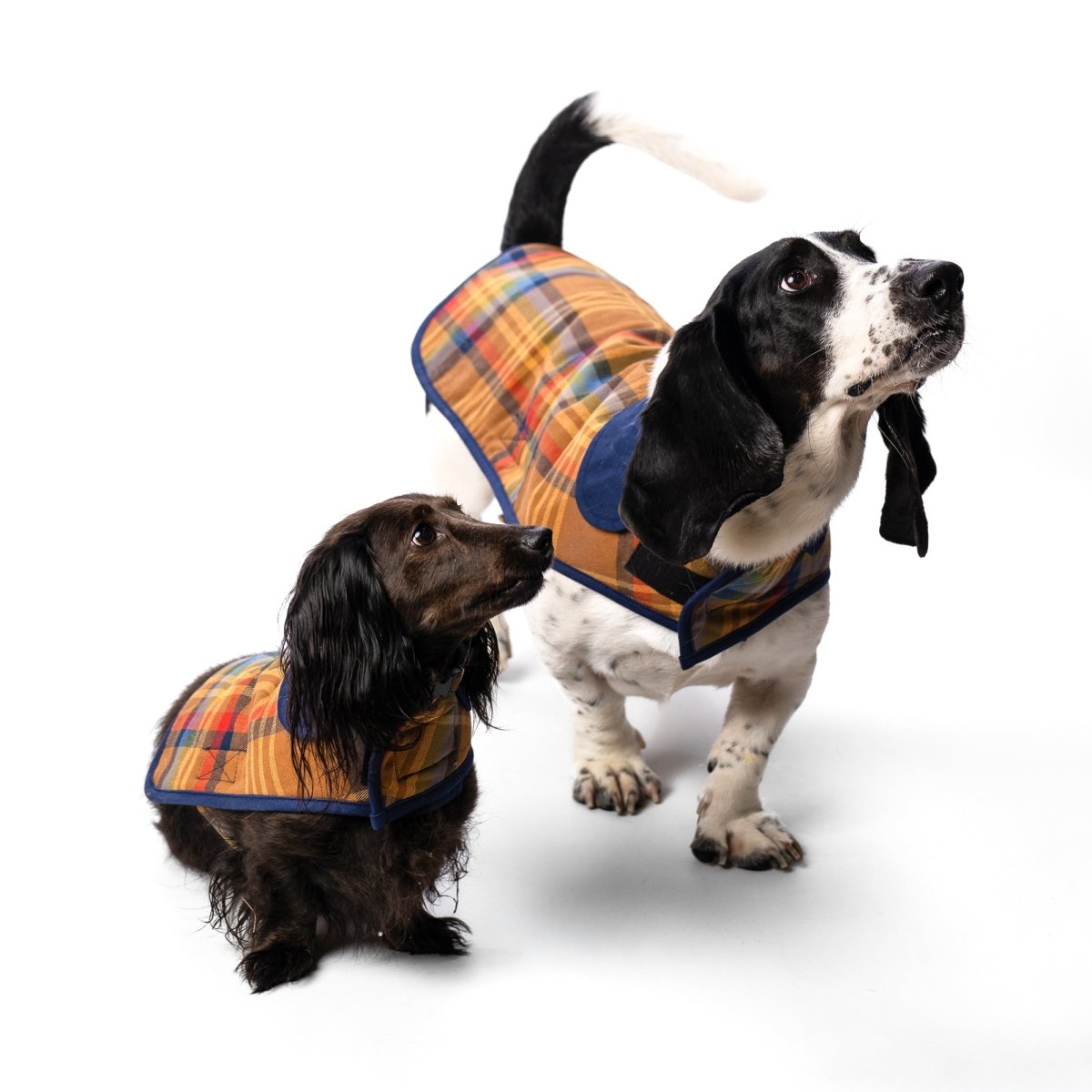 Pendleton Plaid Pet Coat For Small to XXL Dogs