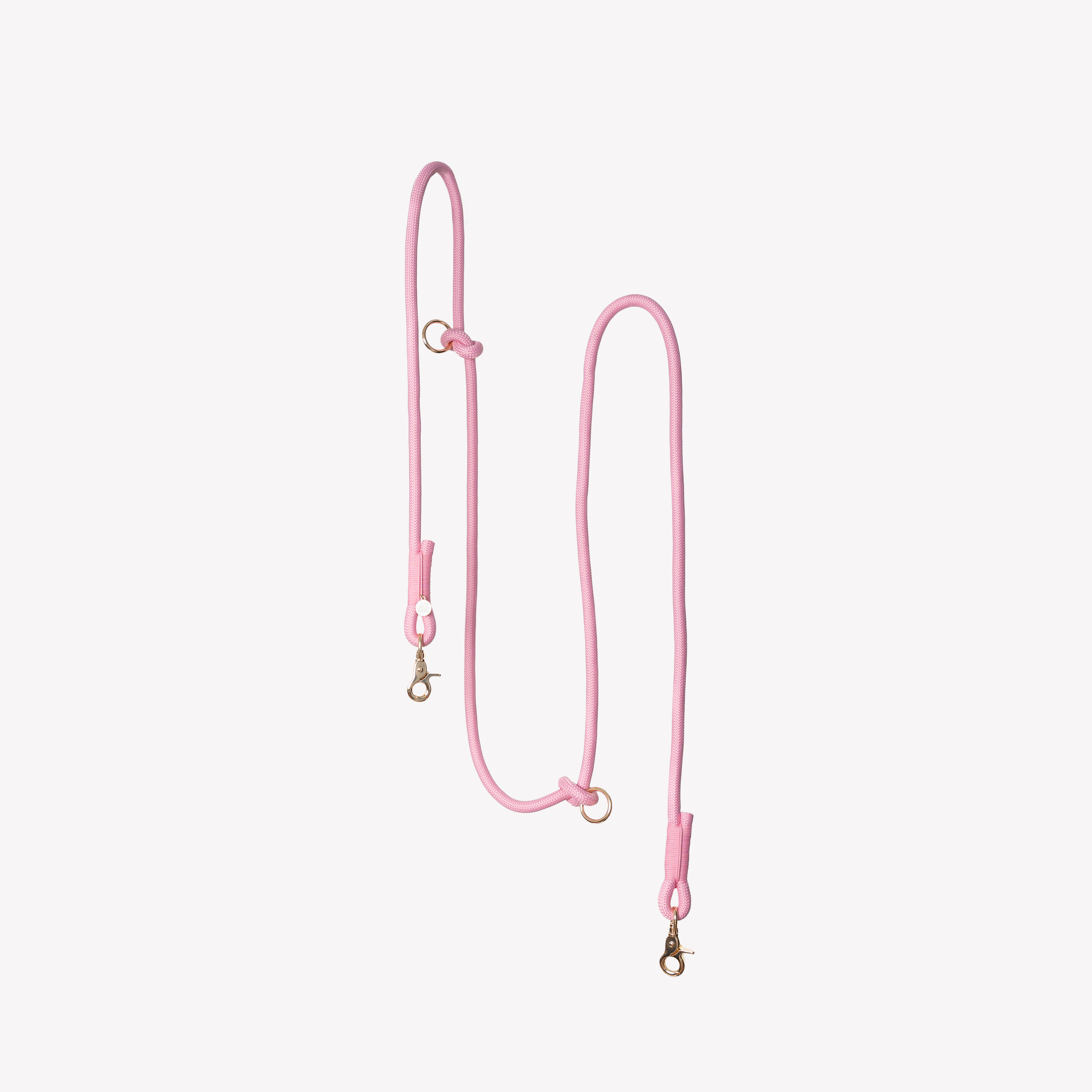 Collars & Leashes
