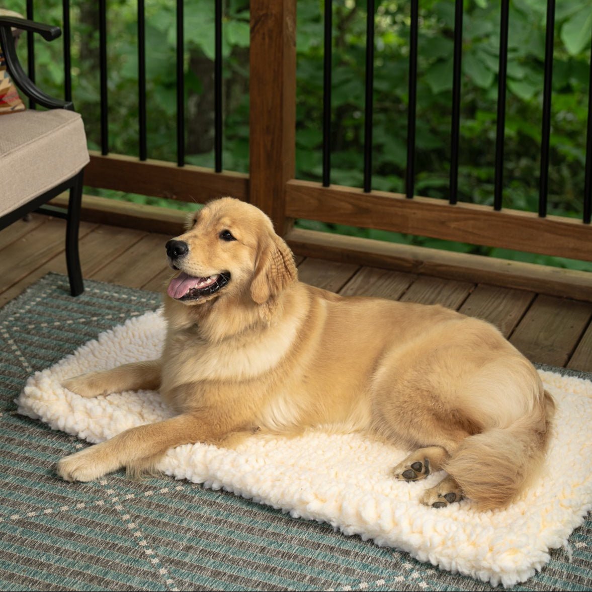 Sherpa Cushion Dog Bed