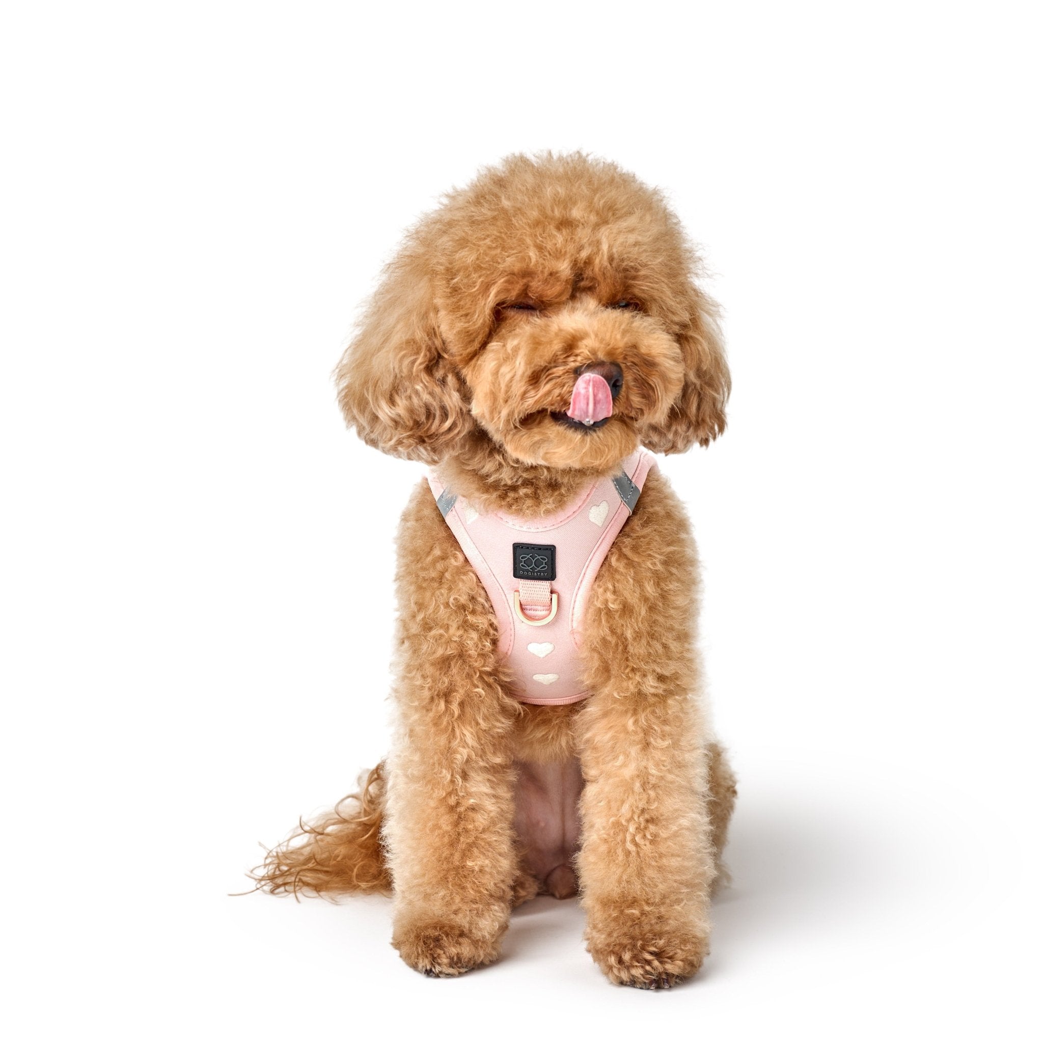 SoHo Small Dog Harness  Sweetheart | No Pull Step-In Harness